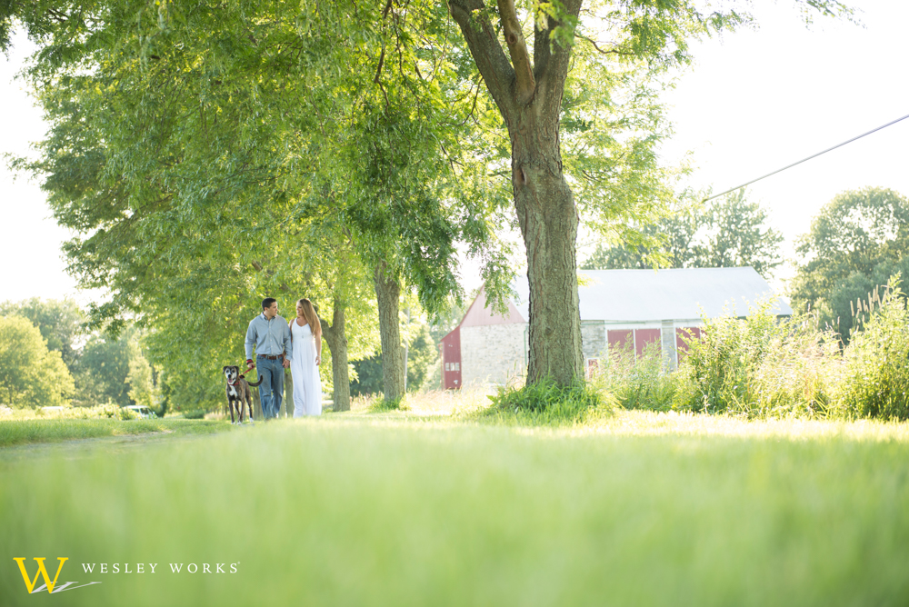 Gallery Engagement Photo Locations, Emmaus, Rodale Wesley